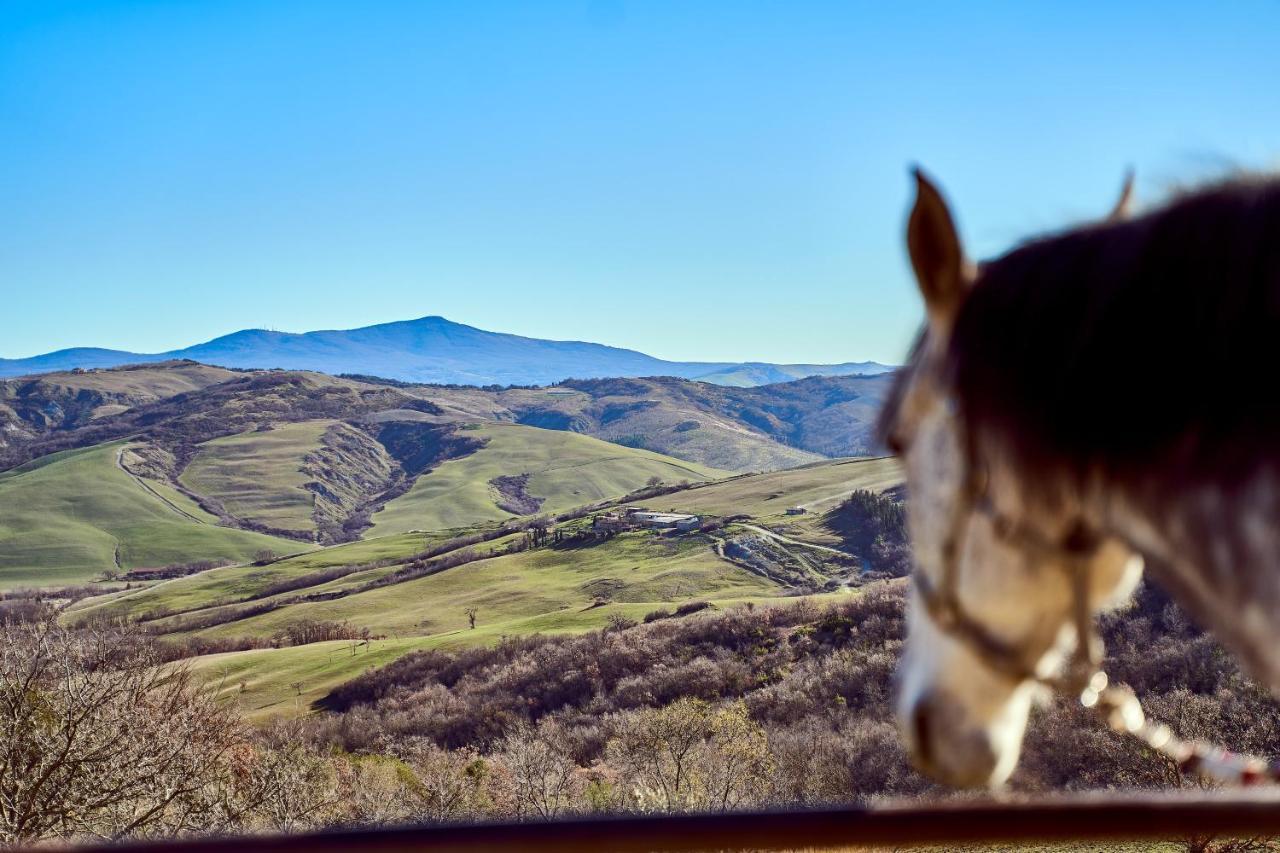 Az.Agr. Il Cavalleggero Campiglia d'Orcia Ngoại thất bức ảnh