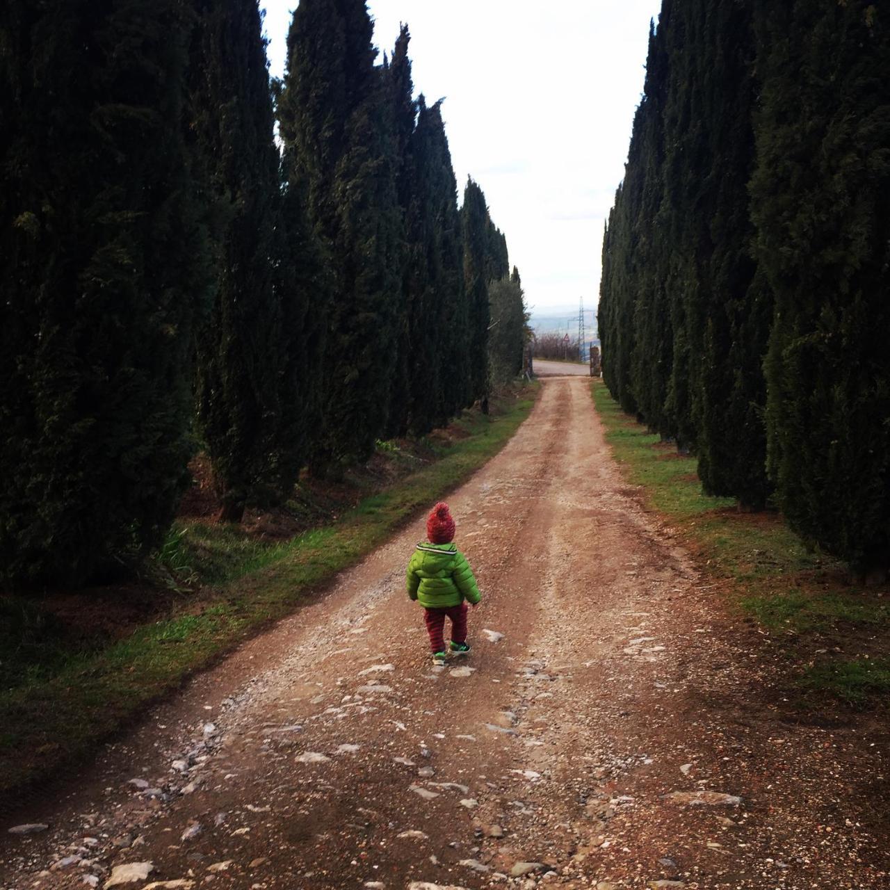 Az.Agr. Il Cavalleggero Campiglia d'Orcia Ngoại thất bức ảnh