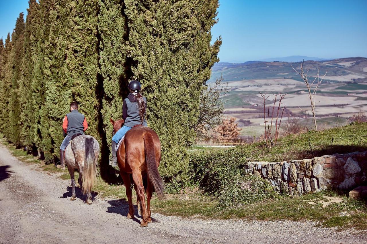 Az.Agr. Il Cavalleggero Campiglia d'Orcia Ngoại thất bức ảnh