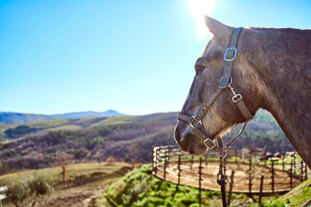 Az.Agr. Il Cavalleggero Campiglia d'Orcia Ngoại thất bức ảnh